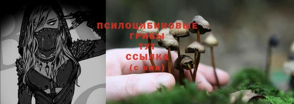 PSILOCYBIN Бронницы